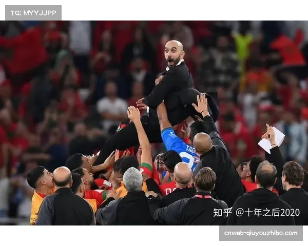 摩洛哥兼具非洲爆发力与欧洲纪律 从黑马蜕变为顶级掠食者